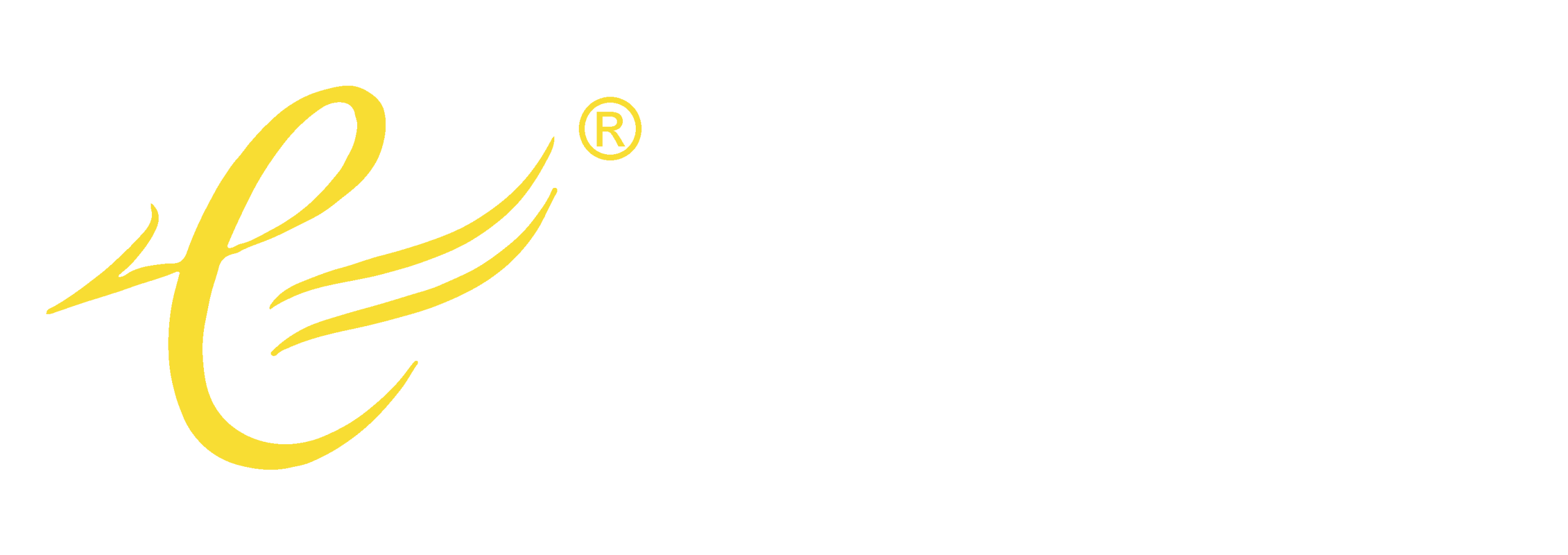 TopWell.Co